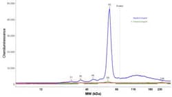 GPT2 Antibody, Novus Biologicals 25ul | Buy Online | Novus Biologicals | Fisher Scientific