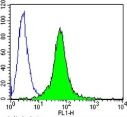 GR/NR3C1 Antibody (BuGR2) - BSA Free, Novus Biologicals 0.1mg; Unlabeled:Antibodies,