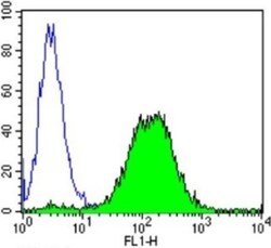 GR/NR3C1 Antibody (BuGR2) - BSA Free, Novus Biologicals 0.1mg; Unlabeled:Antibodies,