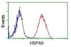 GRP75/HSPA9B/Mortalin Antibody (OTI9F8), Novus Biologicals 0.1mL; Unlabeled:Antibodies,