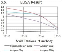 Guanylyl Cyclase alpha 1 Antibody (3G6B2) - BSA Free, Novus Biologicals:Antibodies:Primary