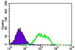 Guanylyl Cyclase alpha 1 Antibody (3G6B2) - BSA Free, Novus Biologicals:Antibodies:Primary