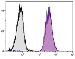 H-2Dd Antibody (34-5-8S), Biotin, Novus Biologicals 0.5mg; Biotin:Antibodies,