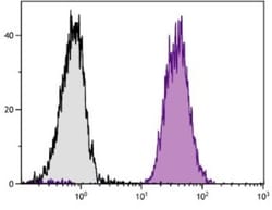 H-2Dd Antibody (34-5-8S), FITC, Novus Biologicals 0.25mg; FITC:Antibodies,