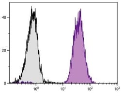 H-2Dd Antibody (34-5-8S) - Azide and BSA Free, Novus Biologicals 0.5mg;