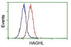 HAGHL Antibody (OTI3H2), Novus Biologicals 0.1mL; Unlabeled:Antibodies,