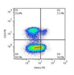 Helios Antibody (22F6) - BSA Free, Novus Biologicals 0.1mg; Unlabeled:Antibodies,