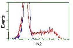 Hexokinase 2 Antibody (OTI4C5), Novus Biologicals 0.1mL; Unlabeled:Antibodies,