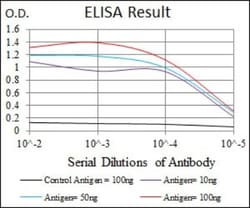 Hexosaminidase A/HEXA Antibody (3F10) - BSA Free, Novus Biologicals 0.1mL;