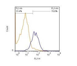 HGFR/c-MET Antibody (1G7NB) - Azide and BSA Free, Novus Biologicals 0.1mg;