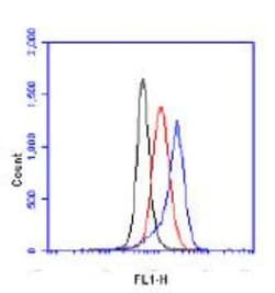 Novus Biologicals HIF-1 alpha Antibody Pack 5 vials:Antibodies