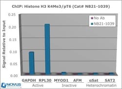 Histone H3, p Thr6, Trimethyl Lys4 Antibody - BSA Free, Novus Biologicals:Antibodies:Primary