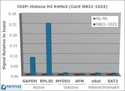 Histone H3, Trimethyl Lys4 Antibody - BSA Free, Novus Biologicals 0.025mg;