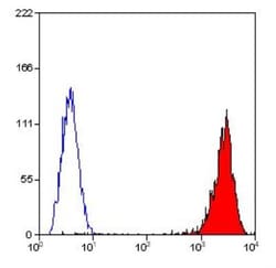 HLA ABC Antibody (W6/32) - Azide and BSA Free, Novus Biologicals 0.05 mg;