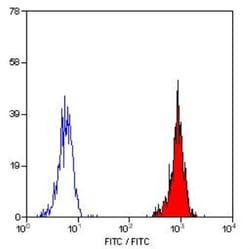 HLA ABC Antibody (W6/32) - Azide and BSA Free, Novus Biologicals 0.05 mg;
