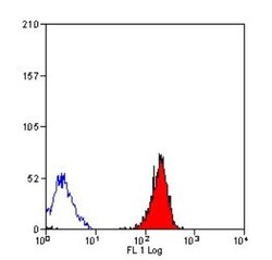 HLA ABC Antibody (YTH862.2) - BSA Free, Novus Biologicals:Antibodies:Primary