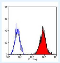 HLA B7 Antibody (BB7.1) - BSA Free, Novus Biologicals 0.025 mg; Unconjugated:Antibodies,
