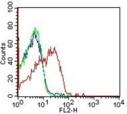 HLA DMA Antibody (5C9NB) - Azide Free, Novus Biologicals 0.1mg; Azide Free:Antibodies,