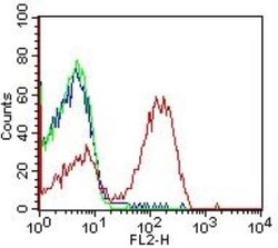 HLA DMA Antibody (6B12NB) - Azide Free, Novus Biologicals 0.1mg; Azide