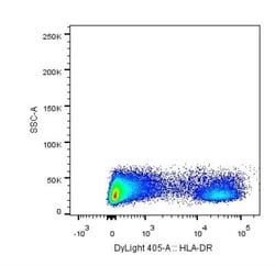 HLA-DR Antibody (L243) - BSA Free, Novus Biologicals 0.025 mL, Unconjugated:Antibodies,