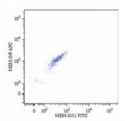 HLA G Antibody (MEM-G/9) - BSA Free, Novus Biologicals 0.1mg; Unlabeled:Antibodies,