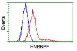 hnRNP F Antibody (OTI5F5), Novus Biologicals 0.1mL; Unlabeled:Antibodies,