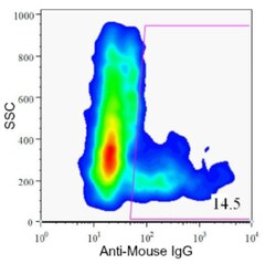 HPd1 Antibody (DHIC2-4A10), Novus Biologicals 0.1mL; Unlabeled:Antibodies,