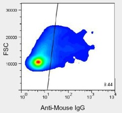 HPd2 Antibody (DHIC2-5H10), Novus Biologicals:Antibodies:Primary Antibodies
