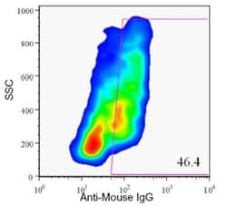 HPi3 Antibody (HIC1-7H10), Novus Biologicals 0.1mL; Unlabeled:Antibodies,