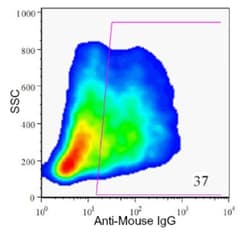 HPx2 Antibody (HIC1-1C10), Novus Biologicals:Antibodies:Primary Antibodies