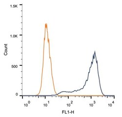 HSP27 Antibody (6H11), Novus Biologicals 0.025mL; Unlabeled:Antibodies,