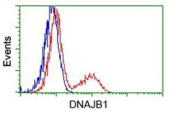 HSP40/DNAJB1 Antibody (OTI1F9), Novus Biologicals 0.1mL; Unlabeled:Antibodies,