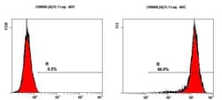 Novus Biologicals Human ESC Marker Antibody Pack 6 vials:Antibodies