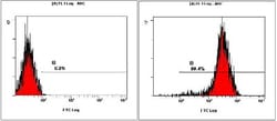 Novus Biologicals Human ESC Marker Antibody Pack 6 vials:Antibodies