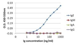 Human IgE Antibody (F4-#16), Novus Biologicals 0.025 mg | Buy Online | Novus Biologicals | Fisher Scientific