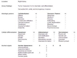 Novus Biologicals&trade;&nbsp;Human Kidney Tissue Lysate (Female Adult Normal, Age:37)