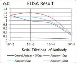Hyaluronan Synthase 3/HAS3 Antibody (3C9) - BSA Free, Novus Biologicals