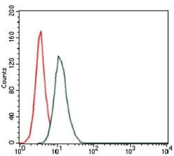 Hyaluronan Synthase 3/HAS3 Antibody (3C9) - BSA Free, Novus Biologicals
