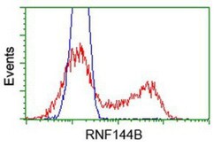 IBRDC2 Antibody (OTI9H10), Novus Biologicals 0.1mL; Unlabeled:Antibodies,