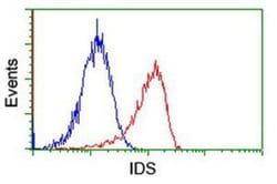 Iduronate 2-Sulfatase/IDS Antibody (OTI1D9), Novus Biologicals 0.1mL; Unlabeled:Antibodies,