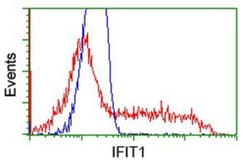IFIT1 Antibody (OTI3G8), Novus Biologicals 0.1 mL | Buy Online | Novus Biologicals | Fisher Scientific
