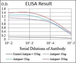 IGFBP-rp1/IGFBP-7 Antibody (1D9E7) - BSA Free, Novus Biologicals 0.1mL;