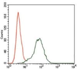IGF-II/IGF2 Antibody (8H1) - BSA Free, Novus Biologicals 0.1mL; Unlabeled:Antibodies,