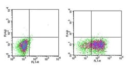 IL-3R alpha/CD123 Antibody (6H6) - BSA Free, Novus Biologicals 0.025mg;