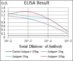 IL-3R alpha/CD123 Antibody (8E11C5) - BSA Free, Novus Biologicals:Anticuerpos:Anticuerpos