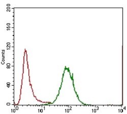 IL-3R alpha/CD123 Antibody (8E11C5) - BSA Free, Novus Biologicals:Anticuerpos:Anticuerpos