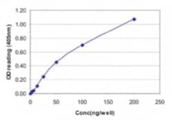 Influenza A H1N1 Nucleoprotein Antibody (2F205) - BSA Free, Novus Biologicals