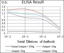Integrin alpha 2b/CD41 Antibody (2E10C9) - BSA Free, Novus Biologicals:Antibodies:Primary