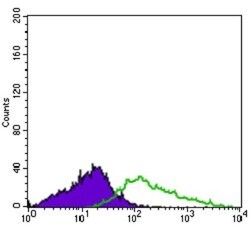 Integrin alpha 2b/CD41 Antibody (2E10C9) - BSA Free, Novus Biologicals:Antibodies:Primary