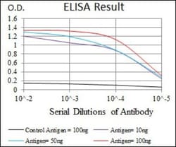 Integrin alpha 4/CD49d Antibody (5C4) - BSA Free, Novus Biologicals:Antibodies:Primary